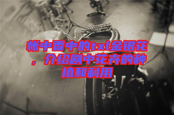 帳中香中的txl金銀花，介紹劇中花卉的種植和利用