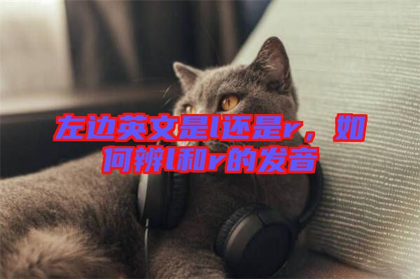 左邊英文是l還是r，如何辨l和r的發(fā)音