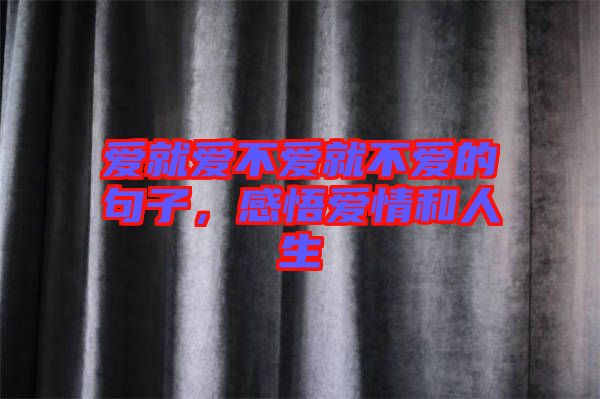 愛(ài)就愛(ài)不愛(ài)就不愛(ài)的句子，感悟愛(ài)情和人生