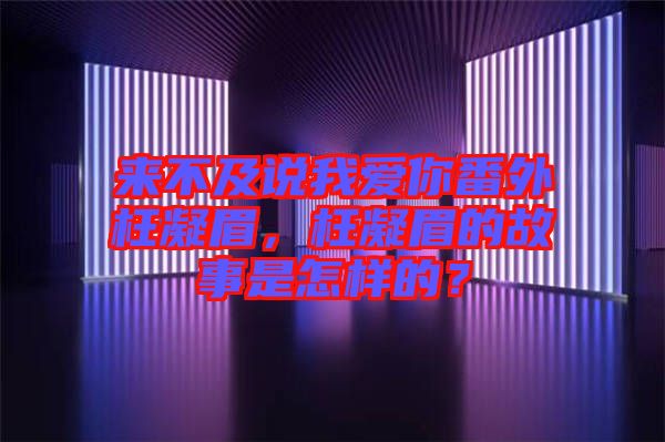來(lái)不及說(shuō)我愛(ài)你番外枉凝眉，枉凝眉的故事是怎樣的？
