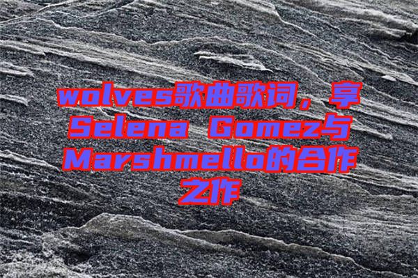 wolves歌曲歌詞，享Selena Gomez與Marshmello的合作之作
