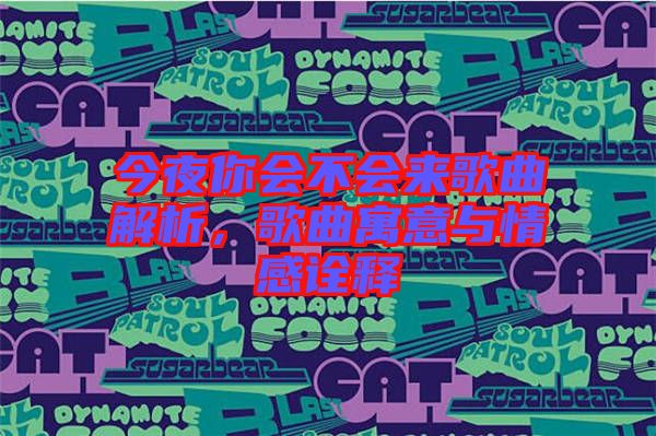 今夜你會(huì)不會(huì)來(lái)歌曲解析，歌曲寓意與情感詮釋