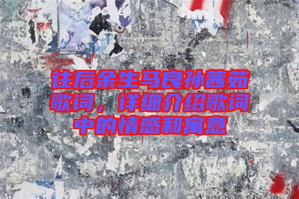 往后余生馬良孫茜茹歌詞，詳細(xì)介紹歌詞中的情感和寓意