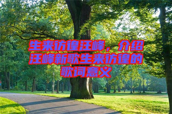 生來(lái)彷徨汪峰，介紹汪峰新歌生來(lái)彷徨的歌詞意義