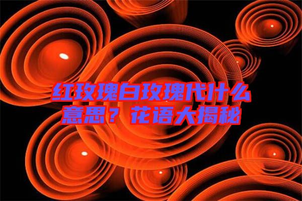 紅玫瑰白玫瑰代什么意思？花語大揭秘