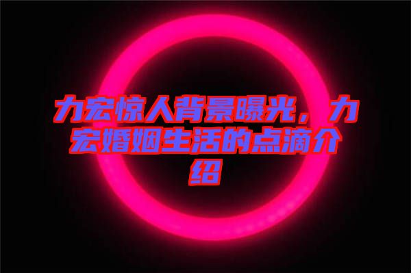 力宏驚人背景曝光，力宏婚姻生活的點(diǎn)滴介紹