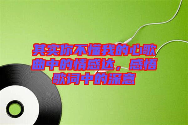 其實(shí)你不懂我的心歌曲中的情感達(dá)，感悟歌詞中的深意