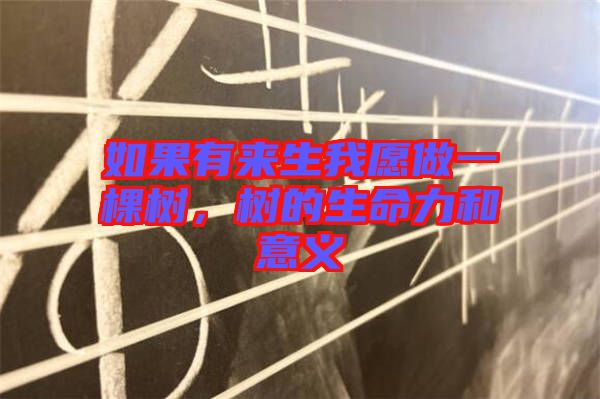 如果有來生我愿做一棵樹，樹的生命力和意義