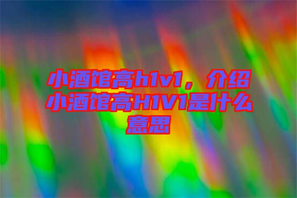 小酒館高h(yuǎn)1v1，介紹小酒館高H1V1是什么意思