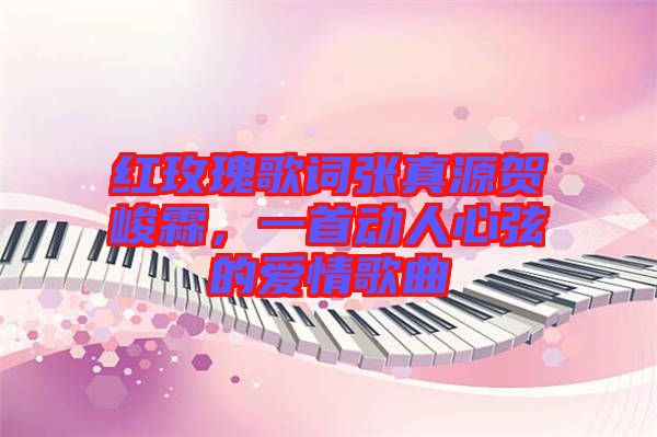 紅玫瑰歌詞張真源賀峻霖，一首動人心弦的愛情歌曲