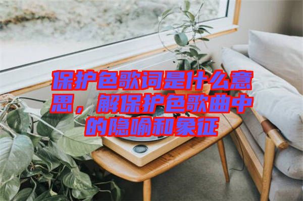 保護(hù)色歌詞是什么意思，解保護(hù)色歌曲中的隱喻和象征