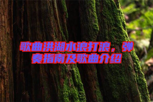歌曲洪湖水浪打浪，彈奏指南及歌曲介紹