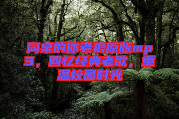 同桌的你老狼原版mp3，回憶經(jīng)典老歌，重溫校園時(shí)光