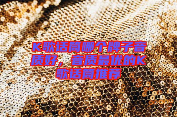 K歌話筒哪個牌子音質(zhì)好，音質(zhì)最優(yōu)的K歌話筒推薦