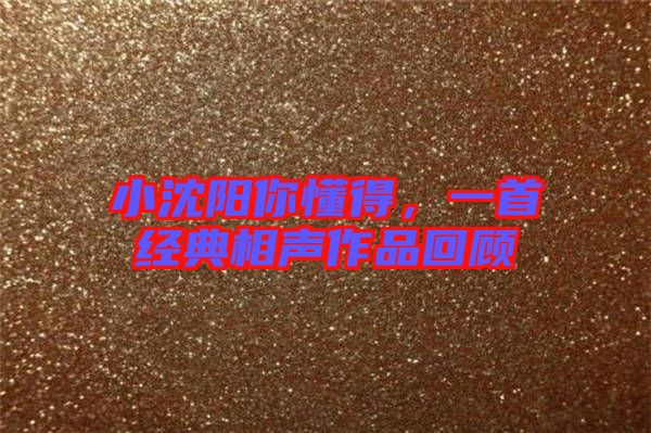 小沈陽(yáng)你懂得，一首經(jīng)典相聲作品回顧