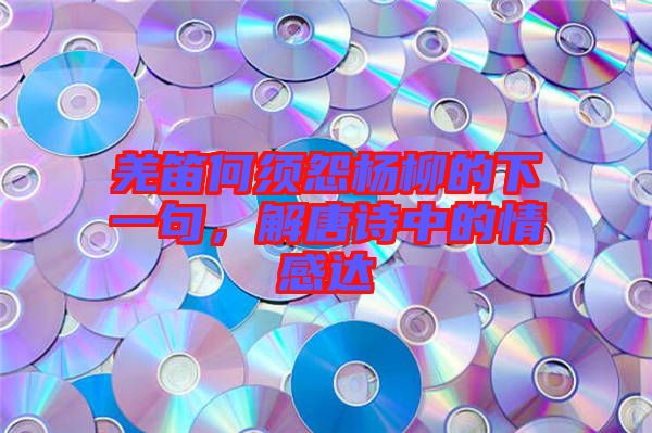 羌笛何須怨楊柳的下一句，解唐詩(shī)中的情感達(dá)