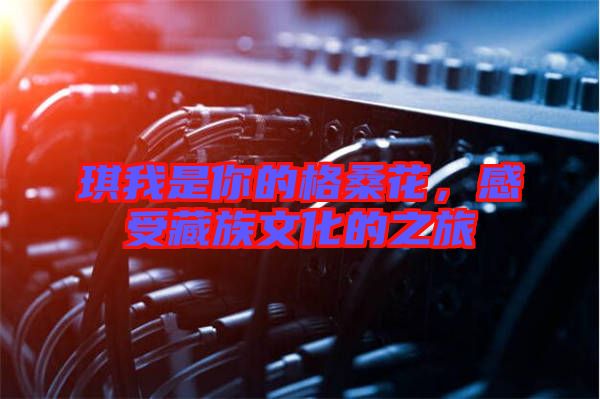 琪我是你的格桑花，感受藏族文化的之旅