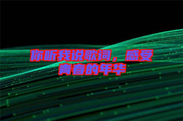 你聽我說歌詞，感受青春的年華