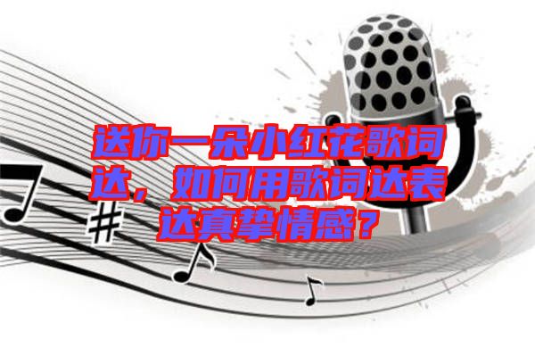 送你一朵小紅花歌詞達，如何用歌詞達表達真摯情感？