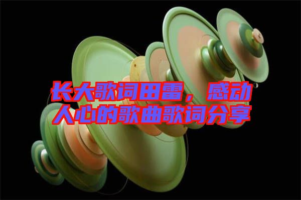 長大歌詞田雷，感動人心的歌曲歌詞分享