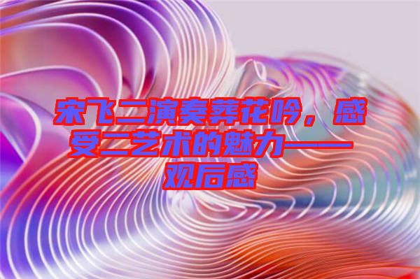 宋飛二演奏葬花吟，感受二藝術的魅力——觀后感