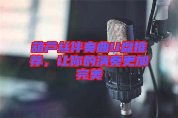 葫蘆絲伴奏曲U盤推薦，讓你的演奏更加完美