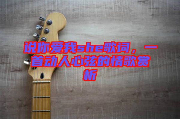 說(shuō)你愛(ài)我she歌詞，一首動(dòng)人心弦的情歌賞析