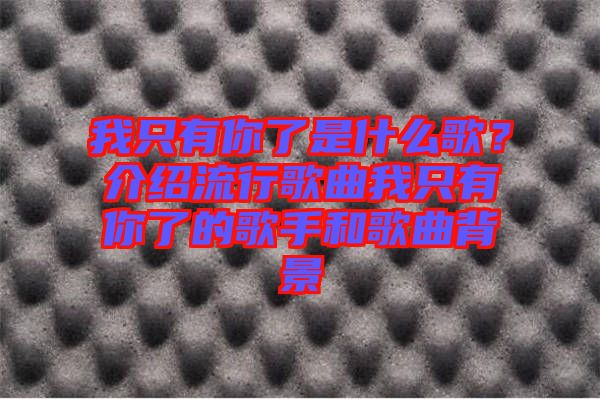 我只有你了是什么歌？介紹流行歌曲我只有你了的歌手和歌曲背景