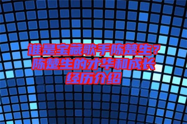 誰是寶藏歌手陳楚生？陳楚生的才華和成長經(jīng)歷介紹