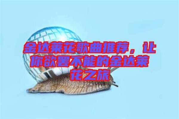 金達(dá)萊花歌曲推薦，讓你欲罷不能的金達(dá)萊花之旅
