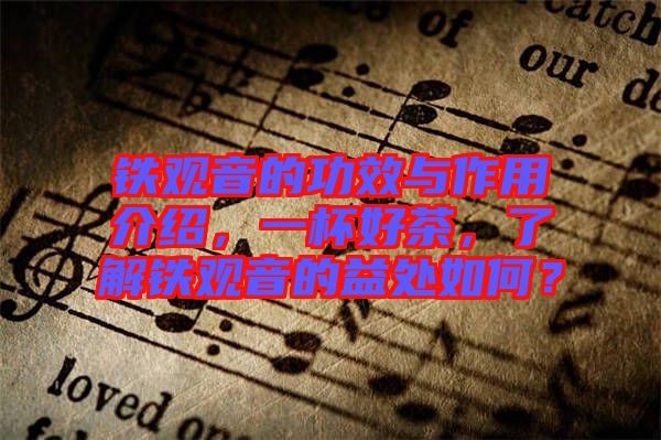 鐵觀音的功效與作用介紹，一杯好茶，了解鐵觀音的益處如何？