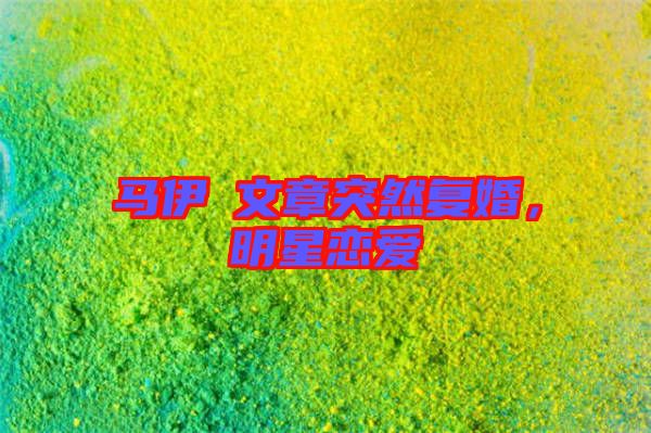 馬伊琍文章突然復婚，明星戀愛