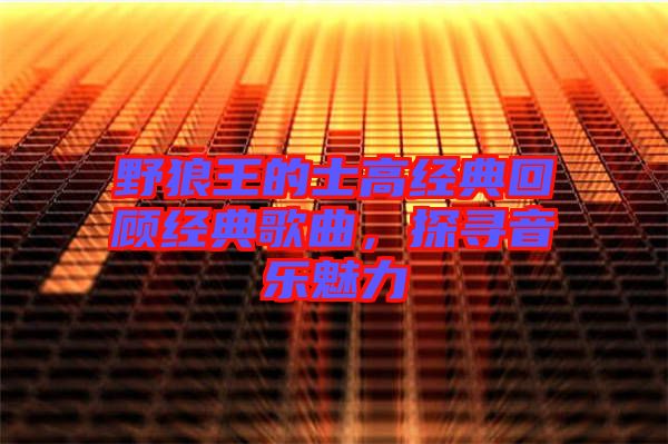野狼王的士高經(jīng)典回顧經(jīng)典歌曲，探尋音樂魅力