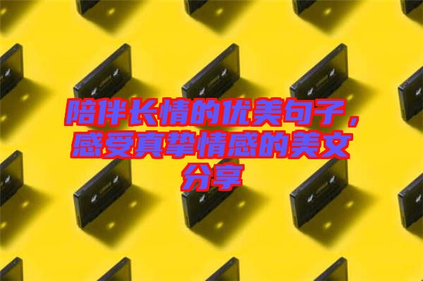 陪伴長情的優(yōu)美句子，感受真摯情感的美文分享