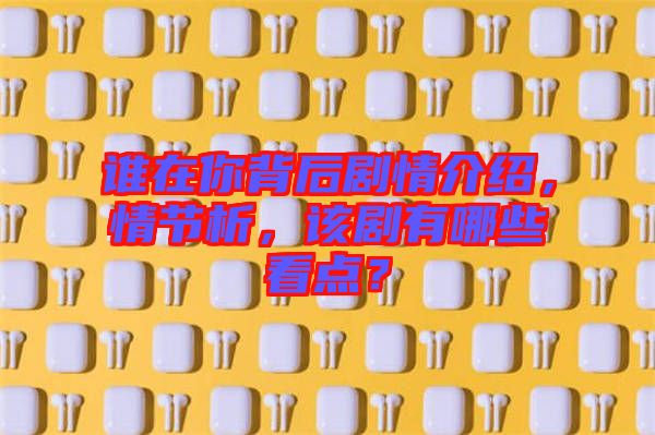 誰在你背后劇情介紹，情節(jié)析，該劇有哪些看點？