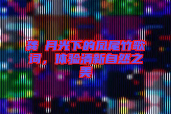 龔玥月光下的鳳尾竹歌詞，體驗(yàn)清新自然之美