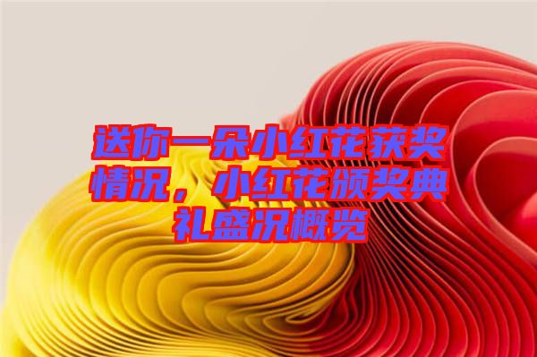 送你一朵小紅花獲獎情況，小紅花頒獎典禮盛況概覽