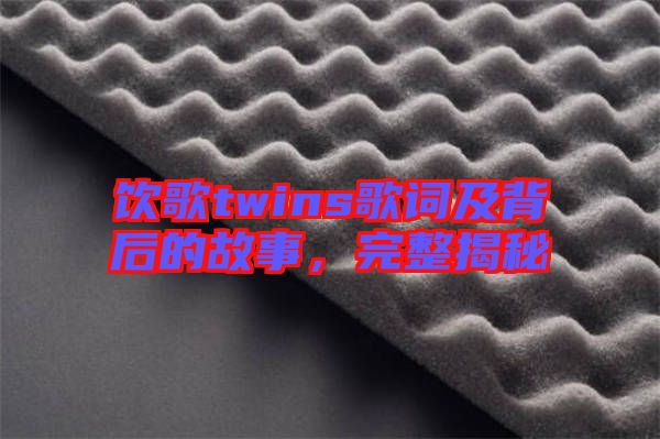 飲歌twins歌詞及背后的故事，完整揭秘