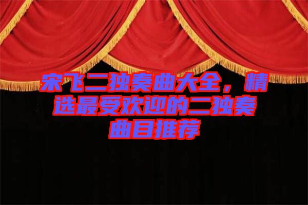 宋飛二獨(dú)奏曲大全，精選最受歡迎的二獨(dú)奏曲目推薦