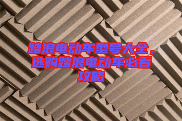 踏浪電動車型號大全，選購踏浪電動車必看攻略