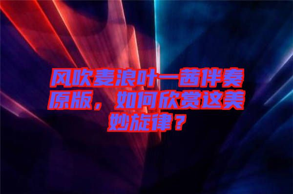 風(fēng)吹麥浪葉一茜伴奏原版，如何欣賞這美妙旋律？