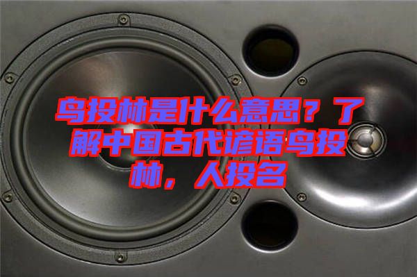 鳥投林是什么意思？了解中國古代諺語鳥投林，人投名