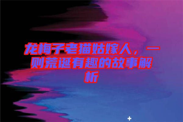 龍梅子老貓姑嫁人，一則荒誕有趣的故事解析