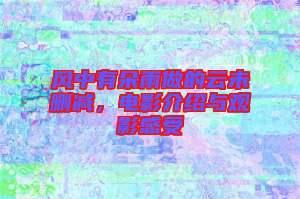 風中有朵雨做的云未刪減，電影介紹與觀影感受