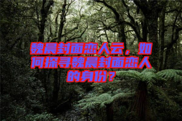 魏晨封面戀人云，如何探尋魏晨封面戀人的身份？