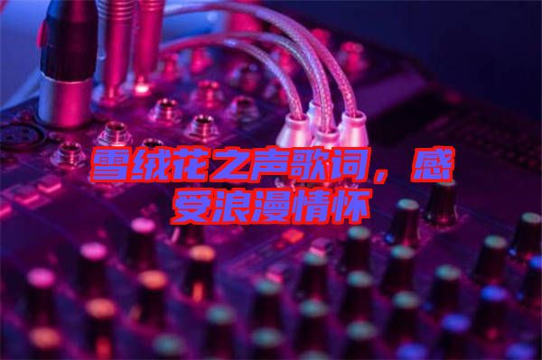雪絨花之聲歌詞，感受浪漫情懷