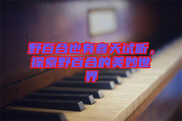 野百合也有春天試聽(tīng)，探索野百合的美妙世界