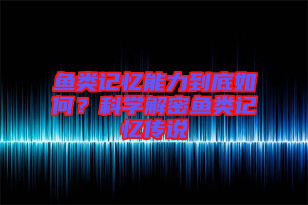 魚類記憶能力到底如何？科學解密魚類記憶傳說