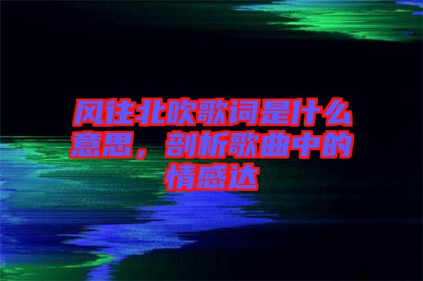 風往北吹歌詞是什么意思，剖析歌曲中的情感達