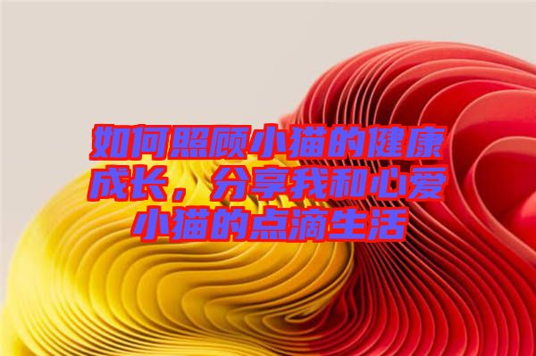 如何照顧小貓的健康成長(zhǎng)，分享我和心愛小貓的點(diǎn)滴生活